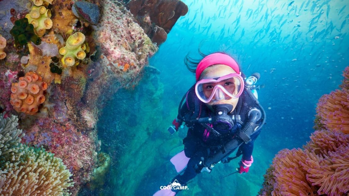 Blog - Potápění a freediver kurzy v Thajsku