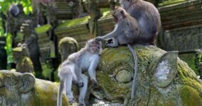 Bali: Za dobrodružstvím | Květen 2026