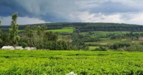 Keňa: Divočina i relax | Červen 2026