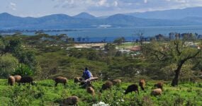 Keňa: Divočina i relax | Červen 2026