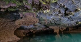 Vietnam: Na vlastní kůži | Duben 2026