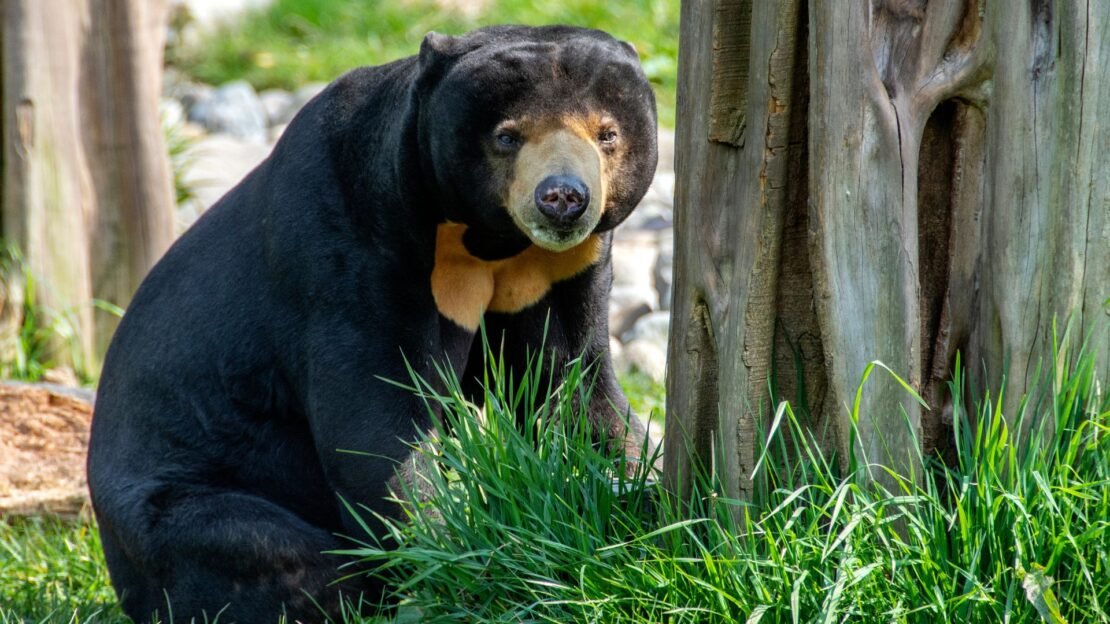 Objevte s námi Borneo