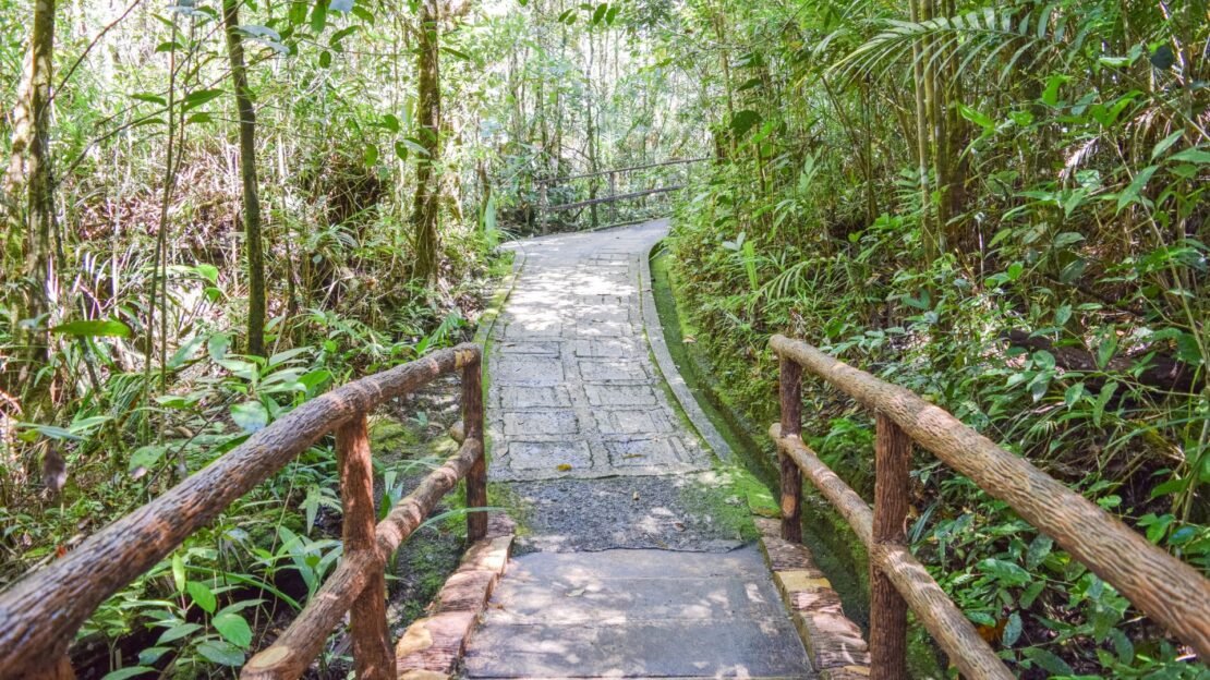 Objevte s námi Borneo