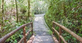 Borneo: Dotek divočiny | Květen 2026