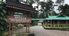 Borneo: Dotek divočiny | Květen 2026