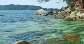 Borneo: Dotek divočiny | Květen 2026