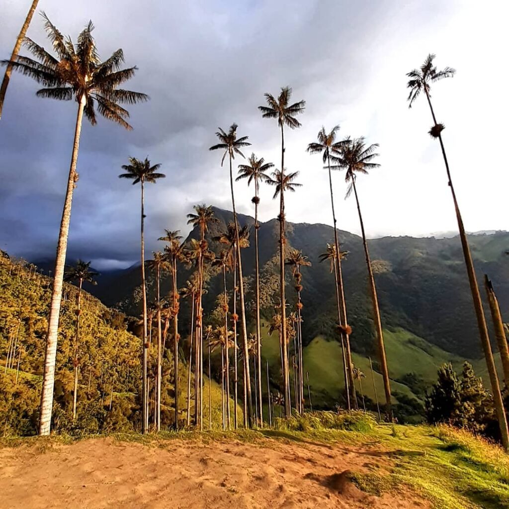 Zájezd - Autentická Kolumbie | Září 2026