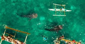 Filipíny: Mindanao a Visayas | Únor 2026