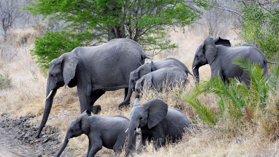 Objevte s námi Borneo