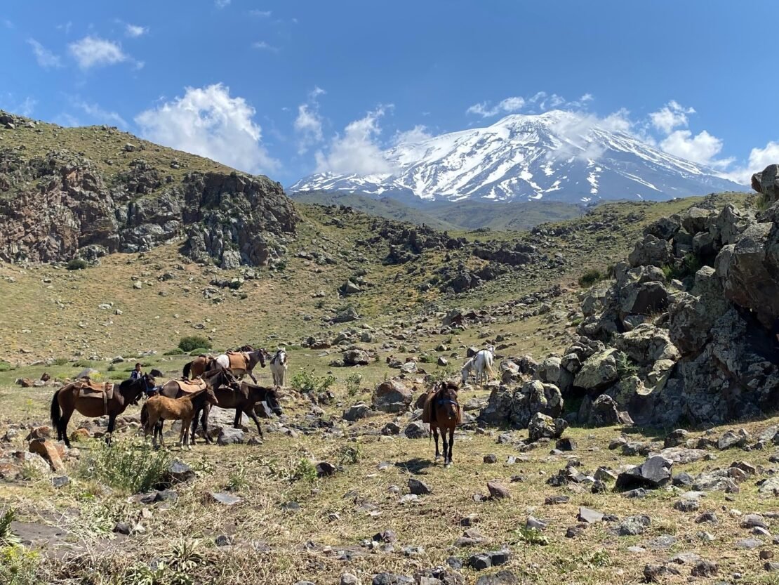 Kebab a čaj, aneb Co si z Araratu odnesli naši ambasadoři?