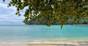 Borneo: Dotek divočiny | Květen 2026