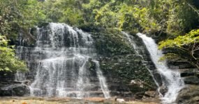 Borneo: Dotek divočiny | Květen 2026