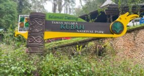 Borneo: Dotek divočiny | Květen 2026