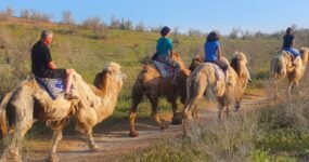 Uzbekistán + Tádžikistán: Divoký orient | Duben 2026