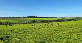 Keňa: Divočina i relax | Červen 2026