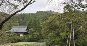 Japonsko: Na vlastní kůži | Září 2026