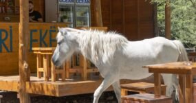 Albánie: Poznej sever země | Duben 2026