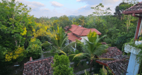 Srí Lanka: Od neprobádaného severu k plážím jihu | Červenec 2026