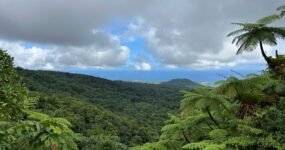 TUK-TUK Challenge | Srí Lanka