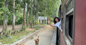 Srí Lanka: Od neprobádaného severu k plážím jihu | Červenec 2026