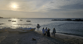 Srí Lanka: Od neprobádaného severu k plážím jihu | Červenec 2026