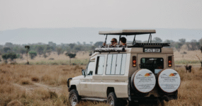 Kilimandžáro: Na vrchol Afriky