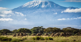 Kilimandžáro: Na vrchol Afriky