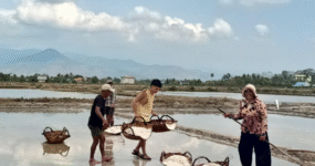 Kambodža: Nevšední klenot Asie | Květen 2026