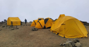 Kilimandžáro: Na vrchol Afriky