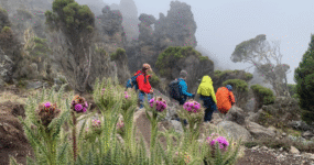 Kilimandžáro: Na vrchol Afriky