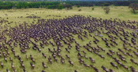 Kilimandžáro: Na vrchol Afriky