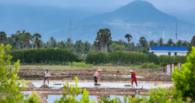 Kambodža: Nevšední klenot Asie | Květen 2026