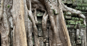 Kambodža: Nevšední klenot Asie | Květen 2026