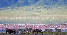 Kilimandžáro: Na vrchol Afriky