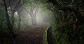 Madeira: Aktivní týden na ostrově | Duben 2026