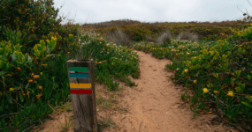 Portugalsko: Fisherman´s Trail | Únor 2026