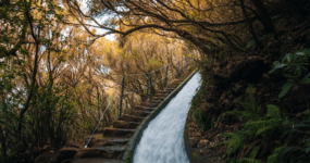 Madeira: Aktivní týden na ostrově | Duben 2026