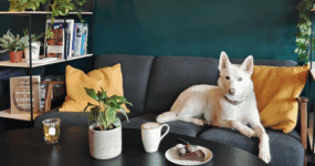 Špicberky: V rytmu psího spřežení a fjordů | Duben 2027