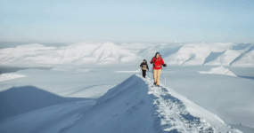 Špicberky: V rytmu psího spřežení a fjordů | Duben 2027