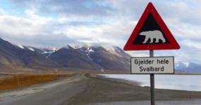 Špicberky: V rytmu psího spřežení a fjordů | Duben 2027