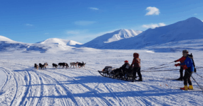 Špicberky: V rytmu psího spřežení a fjordů | Duben 2027