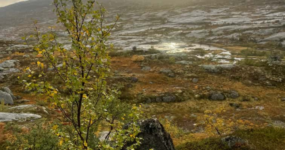 Norsko: 10 dní naplno – ferraty, rafting a výšiny | Červen 2026