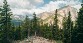 Kanada: Rockies roadtrip s fotografem  | Červen 2026