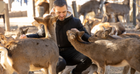 Japonsko: Od tokijských neonů po zenové zahrady | Duben 2026