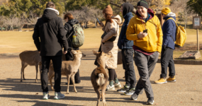 Japonsko: Od tokijských neonů po zenové zahrady | Duben 2026 - DEN 8: Nara a Ósaka - Historie a moderní zábava