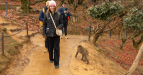 Japonsko: Od tokijských neonů po zenové zahrady | Duben 2026