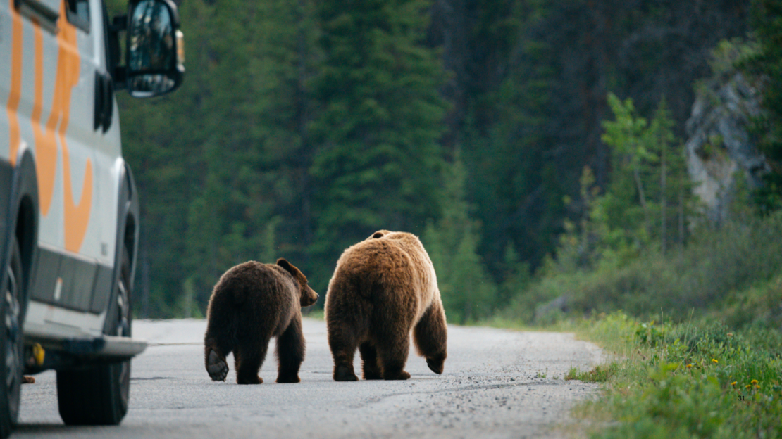 Kilimandžáro – cesta na střechu Afriky