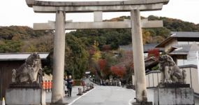Japonsko: Od tokijských neonů po zenové zahrady | Duben 2026