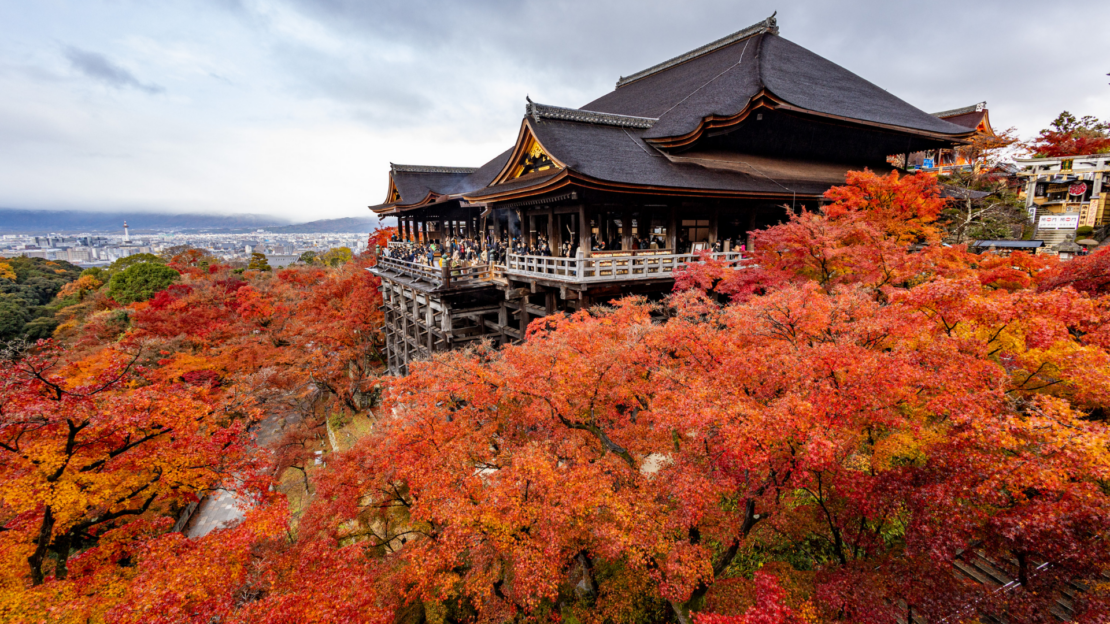 Zájezd - Japonsko: Od tokijských neonů po zenové zahrady | Duben 2026
