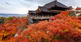 Japonsko: Od tokijských neonů po zenové zahrady | Duben 2026